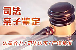 西安司法亲子鉴定收费多少钱【2025最新整理】